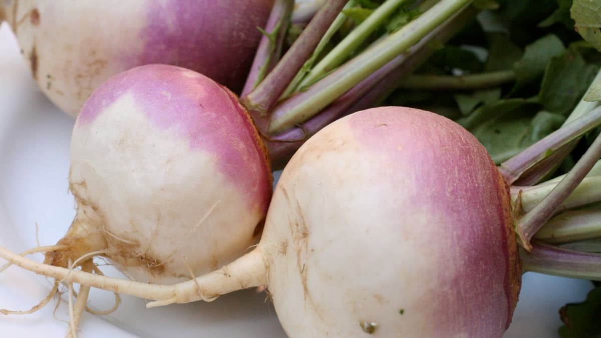 Opinion Was Baldrick right all along, should we all just eat turnips