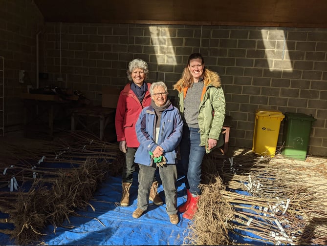 Alton Climate Action Network fruit tree collection point, February 11th 2023.