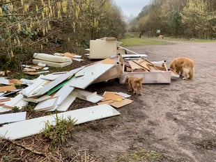 Meon Valley fly-tip is 'the worst I've ever seen', says dog walker