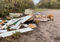 Meon Valley fly-tip is 'the worst I've ever seen', says dog walker