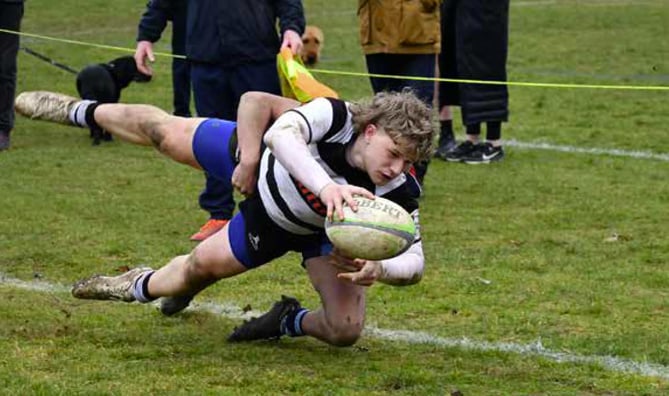Max Williams