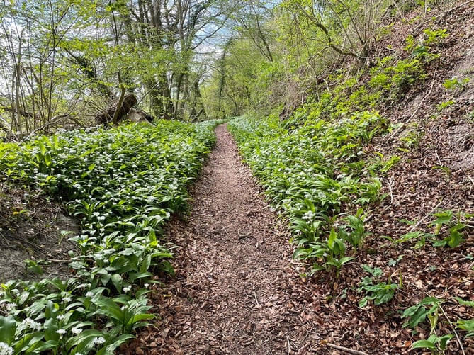 Walk Alton