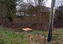 Man blames knocked-over sign for driving wrong way on A31 at Alton