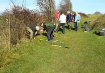 Two new hedgerows planted by Alton Climate Action Network volunteers