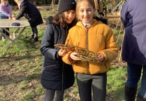 Potters Gate pupils from Farnham weave willow to feed the birds