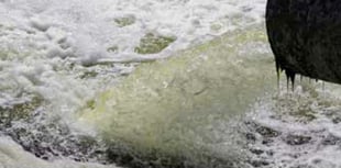 Alton environmentalist: River Wey is being "choked to death" by sewage