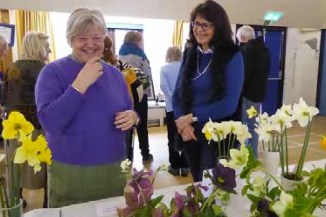 Harting Horticultural Society spring show, April 2023.
