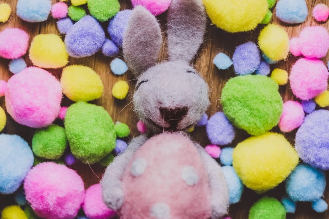 Easter bunny stock image