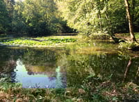 Renationalise water companies to put 'environment before profits'