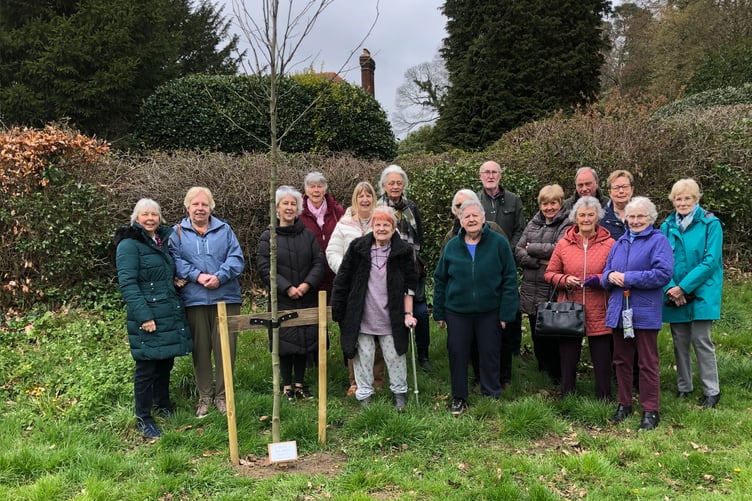 The tree planting in Dot Othen's memory at Hollowdene Recreation Ground in Frensham