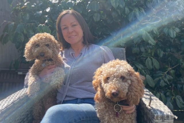 Cockapoo Bo (left) with owner Tamsin and their other family hound
