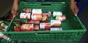 Record number of food parcels handed out in East Hampshire last year