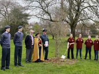 Petersfield Air Training Corps squadron pledges to look after oaks