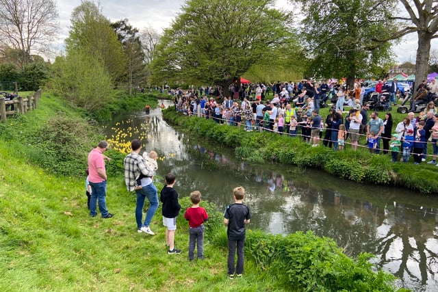 Fowl play as real ducks almost sabotage Great Farnham Duck Race 2023!