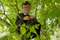 Ofsted validates positive journey at Fernhurst Primary School