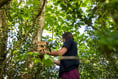 RSPCA reveals how you could transform your garden to protect wildlife