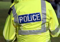Teenager arrested after alleged assault at Hale Carnival 