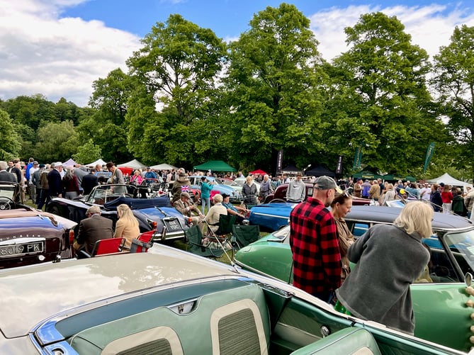 The Haslemere Classic Car Show typically attracts thousands of visitors to Lion Green