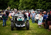 Haslemere Classic Car Show set to attract thousands to Lion Green