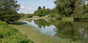 The fishy tale of local beauty spot's disappearing lake is solved...