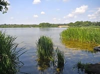 'Pollution incident' at Frensham Great Pond prompts swimming warning