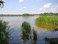 Man arrested after teenage girls 'flashed' at Frensham Great Pond