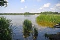 Frensham Pond's water quality is 'excellent' as bathing season begins