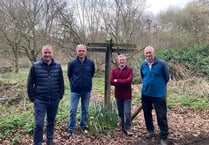 Appeal launched to save Farnham woodland from housing development
