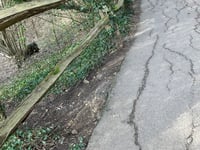 Mile-long Farnham Park footpath to be repaired and restored next month