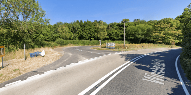The fatal collision happened close to the A272's junction with Bordean Lane