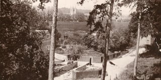 Did you know the River Wey had more mills than anywhere in Britain?