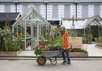 Petersfield greenhouse company Alitex wins RHS Chelsea Flower Show award