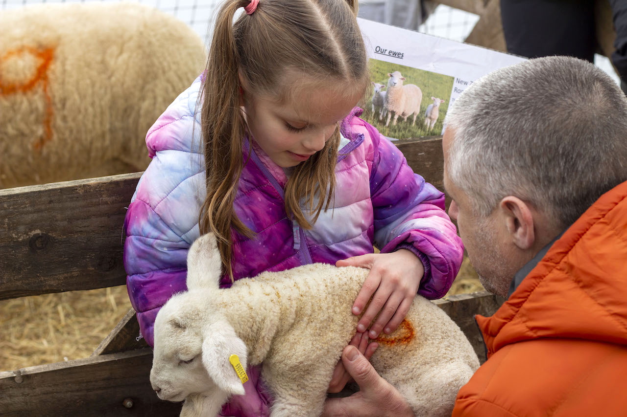 More than 4,000 visitors pitched up at a Meon Valley farm shop to enjoy its lambing event