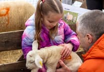 Meon Valley farm shop’s lamb day returns after Covid