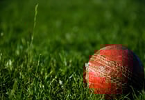 It’s just not cricket: streaker can’t stop Alton’s fourth team winning