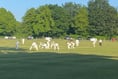 Farnham settle for draw against Old Hamptonians after pushing for win