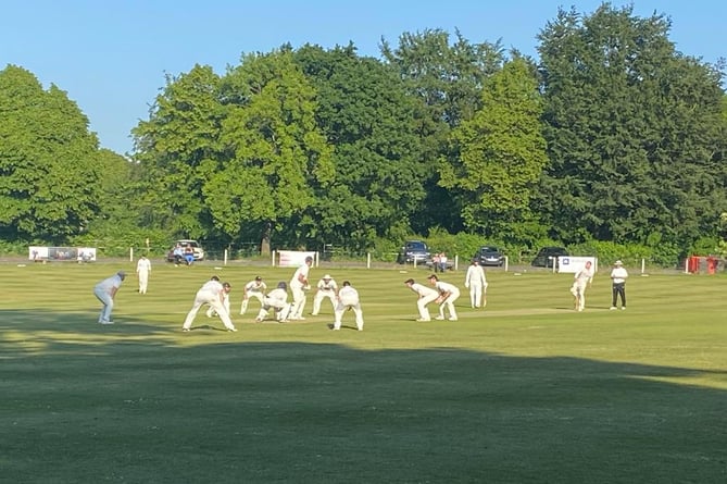 Farnham’s first team push for another wicket off Nathan Thorpe’s bowling