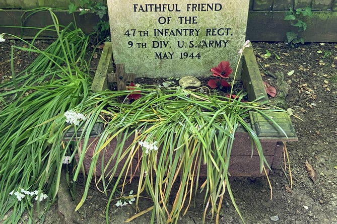 Hambone Jr's grave beside the Arle Valley Trail in Alresford