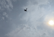 Video: Spitfire and RAF helicopter fly-past opens 50th Frensham Fayre