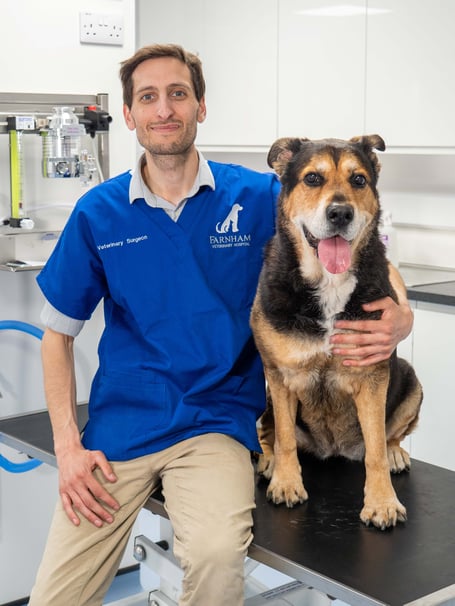 Farnham Veterinary Group clinical director Kevin Clayton