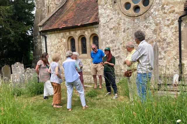 Busy bees: Hampshire county and environmental group help pollinators