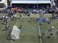 Plan for 3G football and rugby pitch in Anstey Park backed by council