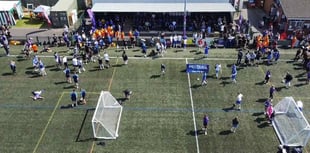 Plan for 3G football and rugby pitch in Anstey Park backed by council