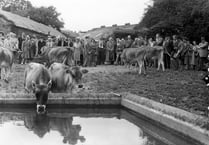 From the Archive: An audience gathers for Bentley’s Jerseys in 1951