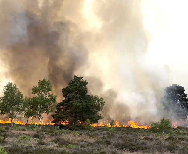 People were still lighting barbecues as Longmoor burned, say rangers
