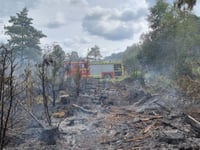 Hampshire firefighters warn people not to barbecue on heathland