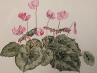 Alresford Art Society's work on show for three days