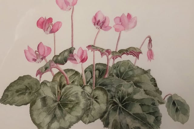 Alresford Art Society exhibition starts at community centre tomorrow