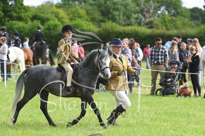 Fawley Horse and Dog Show