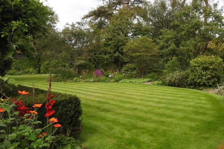Garden at Church House, Trinity Hill, Medstead, July 2023.